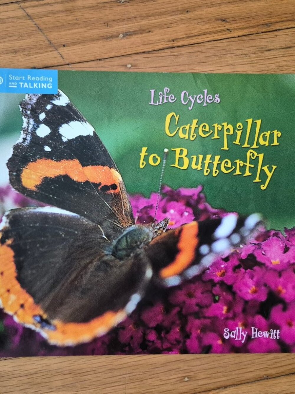 Life Cycles Caterpillar To Butterfly